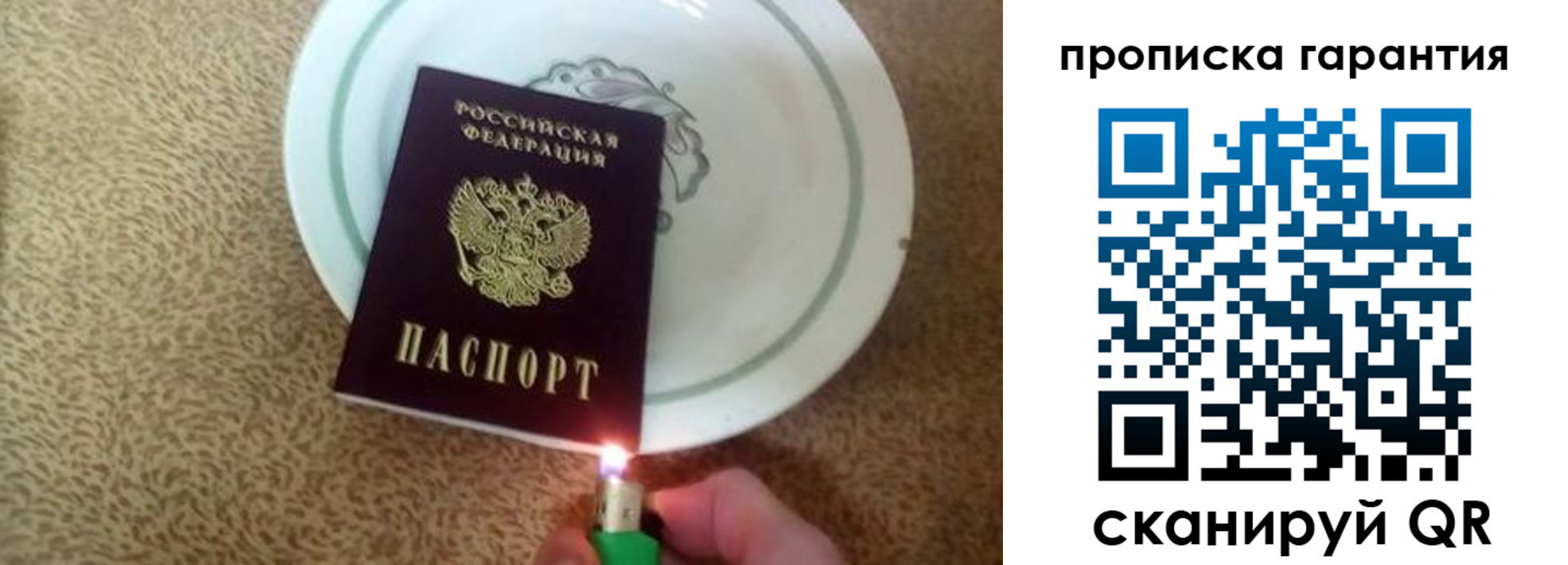 прописка гарантия в Куровском